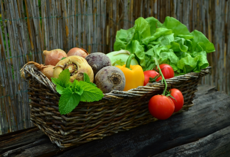 traiteur-HYERES-min_plant-fruit-food-salad-harvest-produce-879579-pxhere.com - Copie